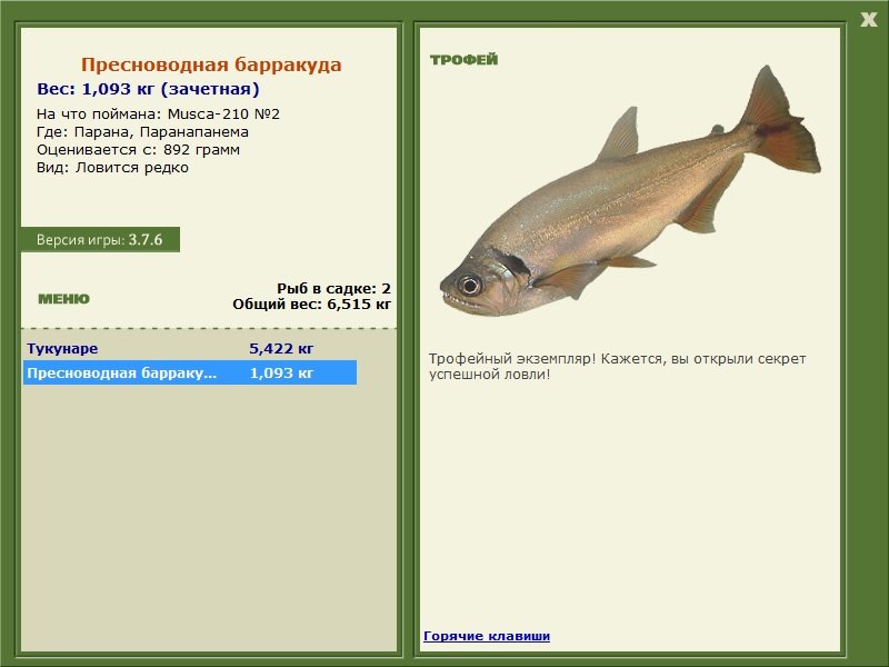 Пресноводная барракуда 