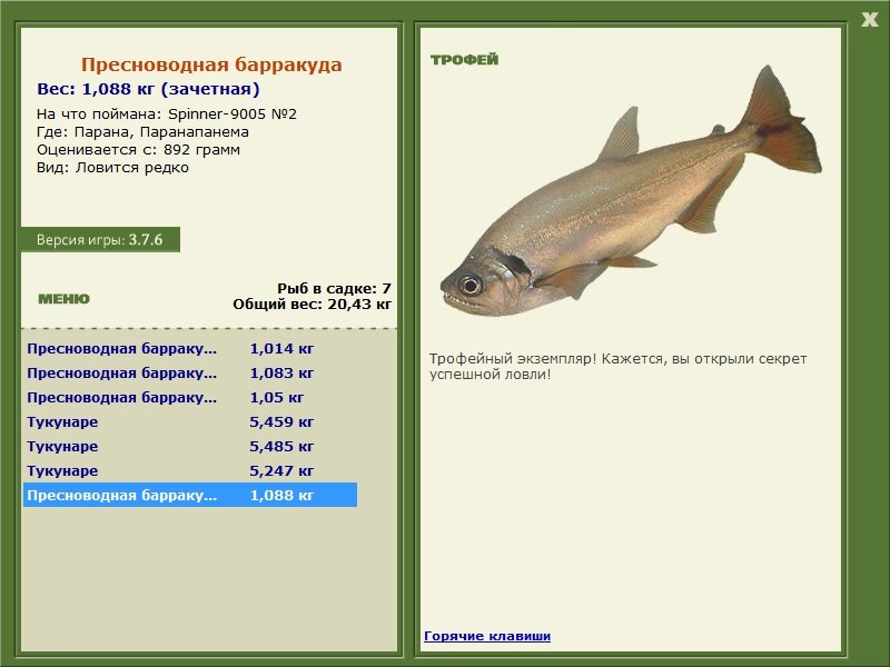 Пресноводная барракуда 