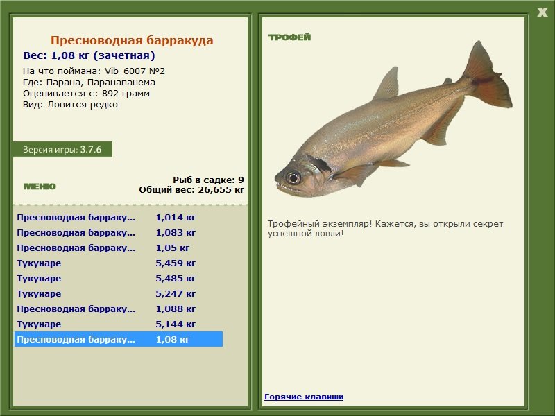 Пресноводная барракуда 