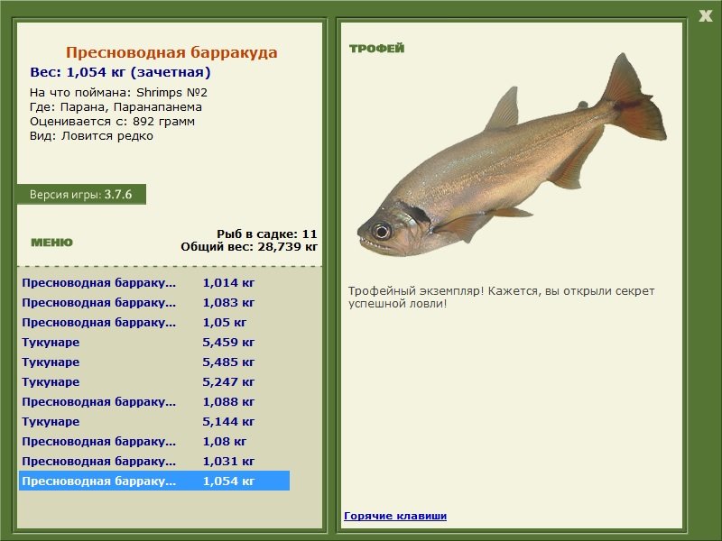 Пресноводная барракуда 