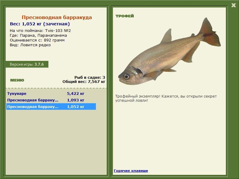 Пресноводная барракуда 