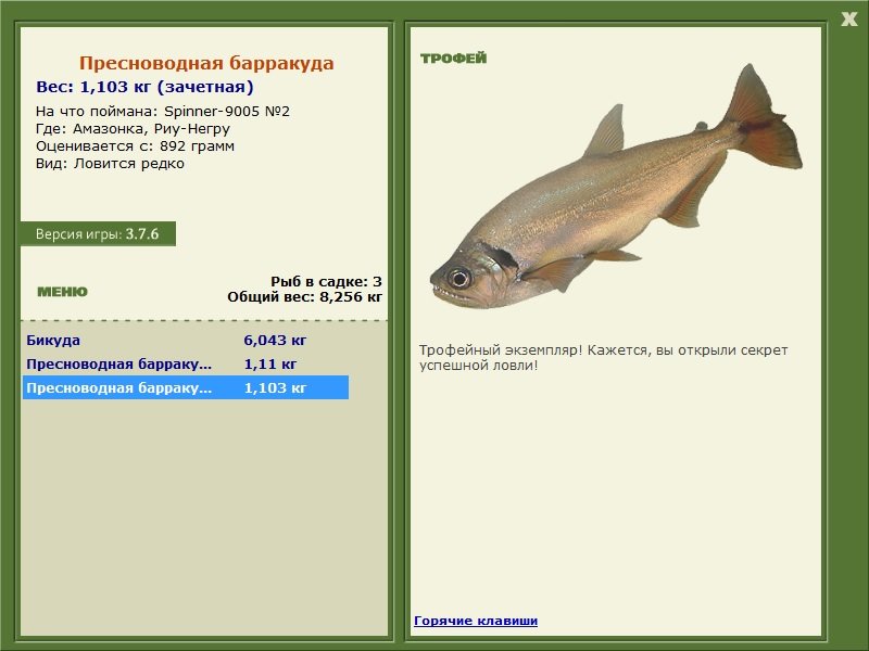 Пресноводная барракуда 