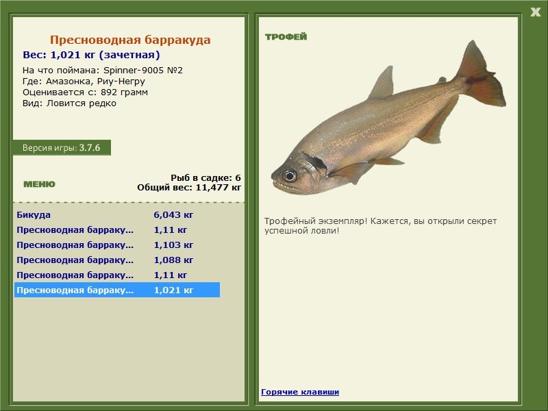 Пресноводная барракуда 