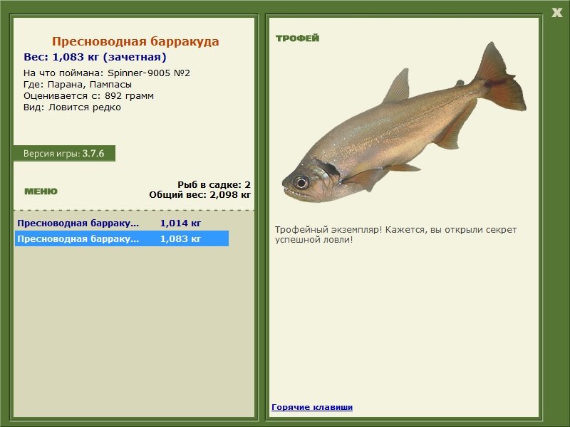Пампасы 