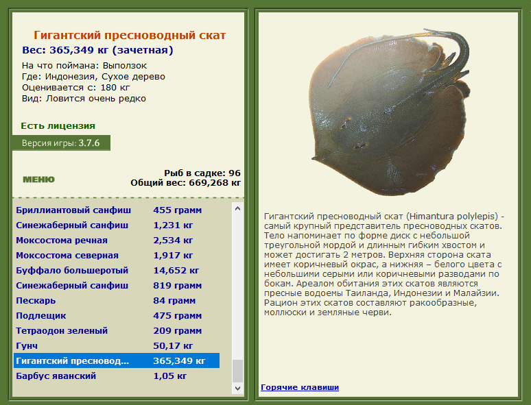 РУССКАЯ РЫБАЛКА Installsoft Edition 