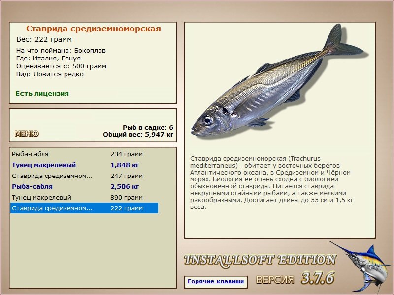 турниры • РУССКАЯ РЫБАЛКА