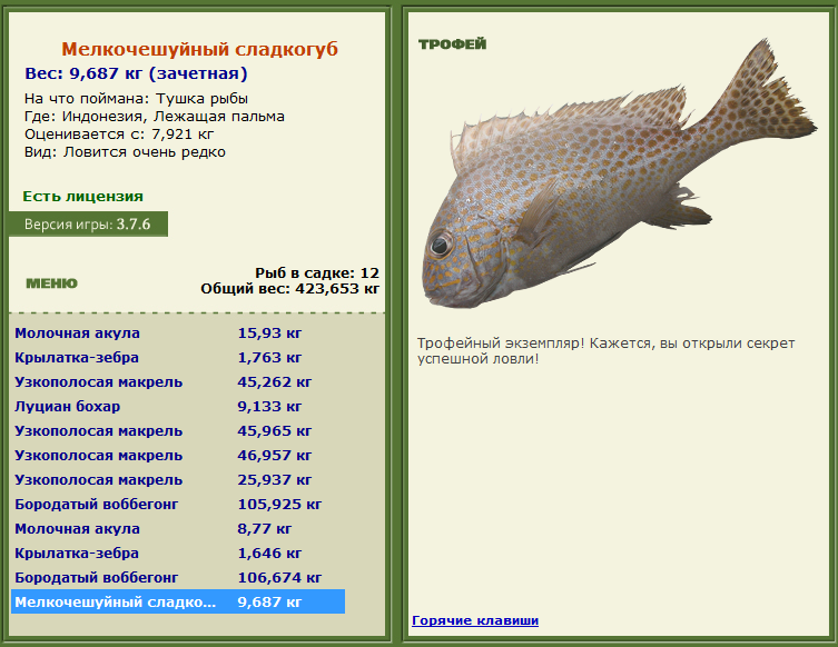 турниры • РУССКАЯ РЫБАЛКА