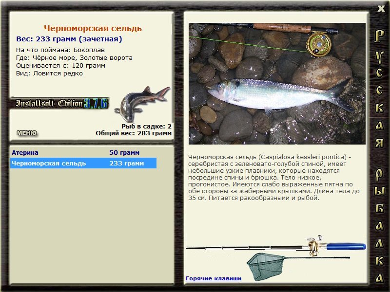 Чёрное море 