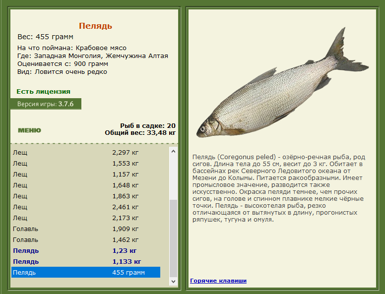 РУССКАЯ РЫБАЛКА Installsoft Edition 