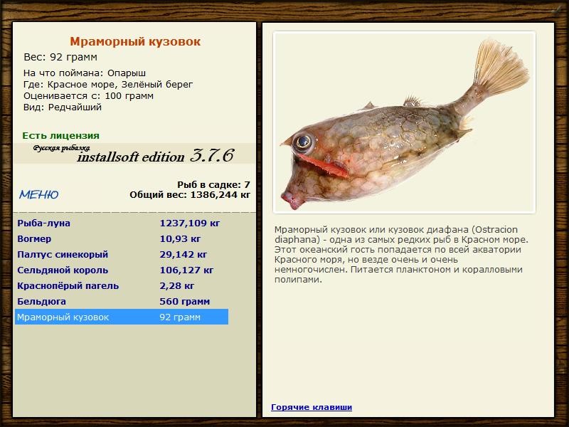 Зелёный берег 