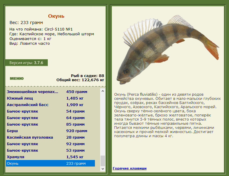 РУССКАЯ РЫБАЛКА Installsoft Edition 