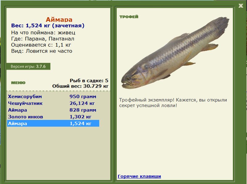 Аймара 