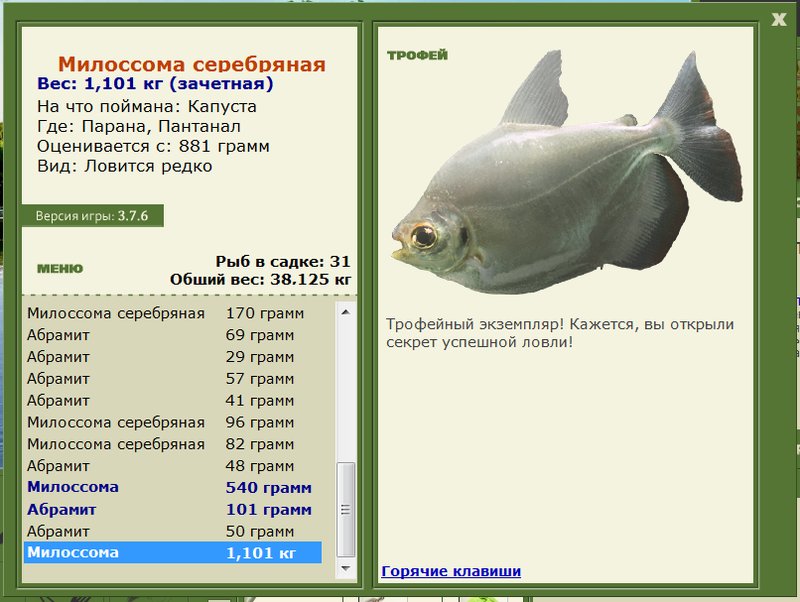 Милоссома серебряная 