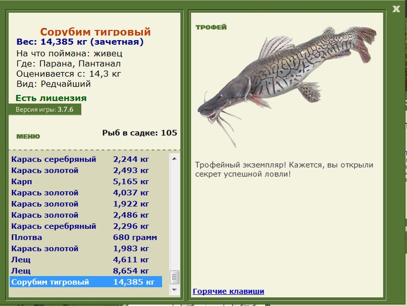 Сорубим тигровый 