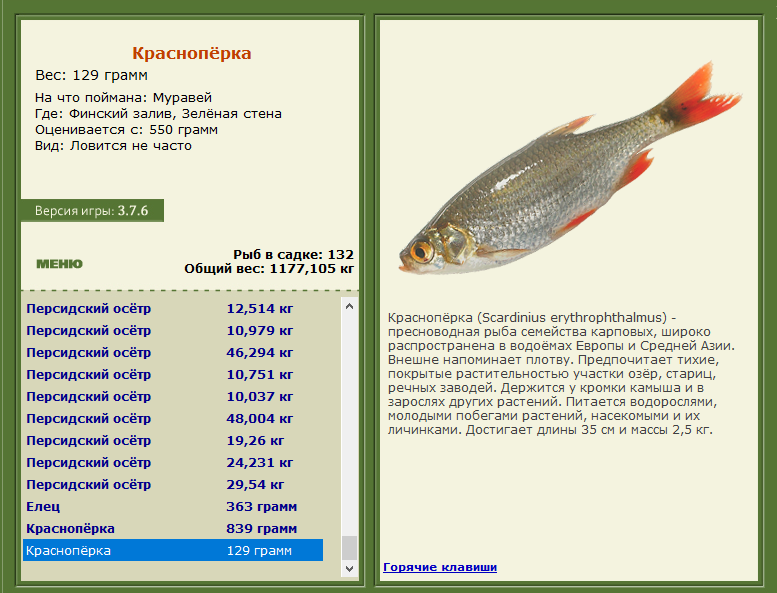 РУССКАЯ РЫБАЛКА Installsoft Edition 
