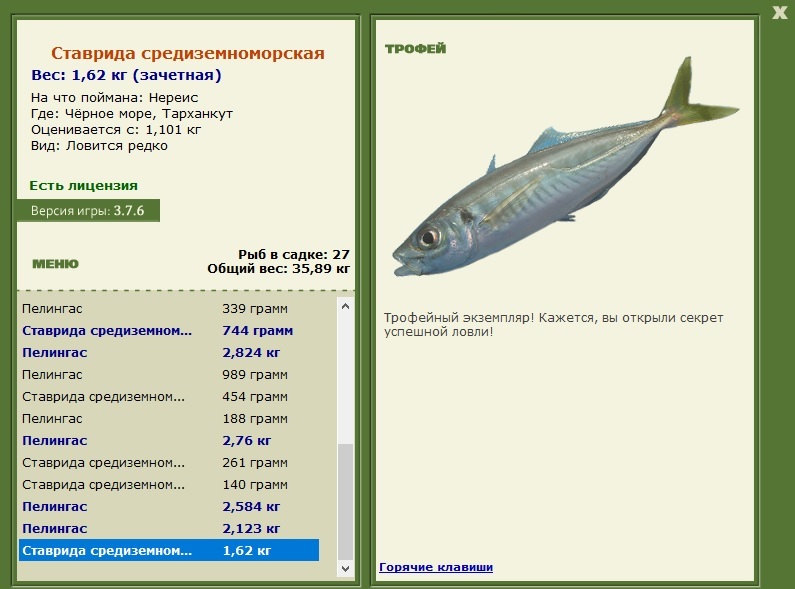 Ставрида средиземноморская 