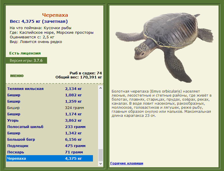 РУССКАЯ РЫБАЛКА Installsoft Edition 