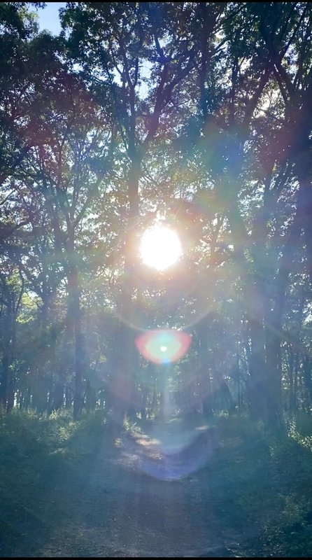  Редактировать сообщение