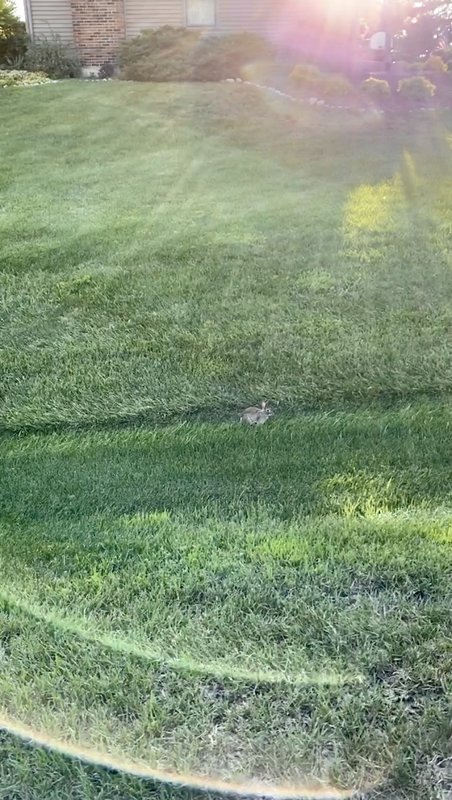  Страница 108 - Форум 