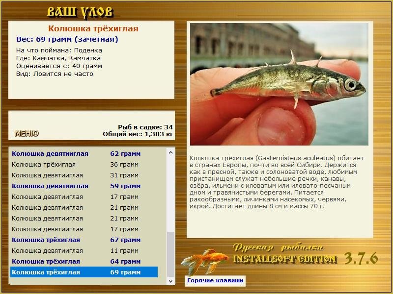 РУССКАЯ РЫБАЛКА Installsoft Edition 