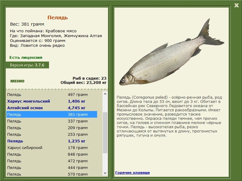 РУССКАЯ РЫБАЛКА Installsoft Edition 