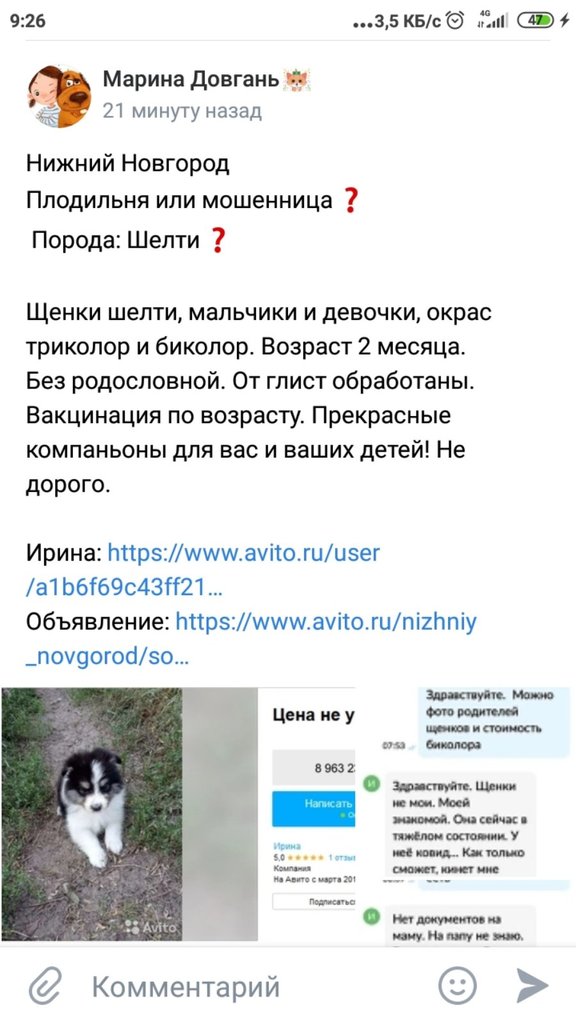 Изображение