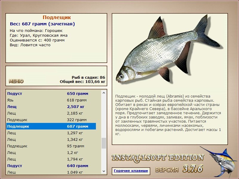 Кругловская яма 