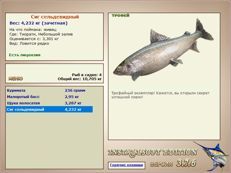 Небольшой залив 