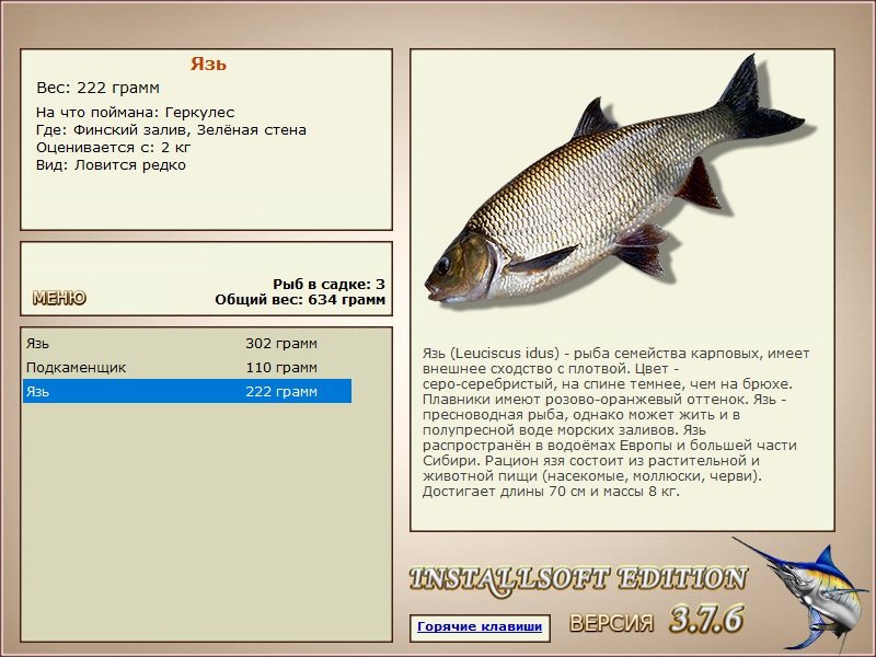 турниры • РУССКАЯ РЫБАЛКА