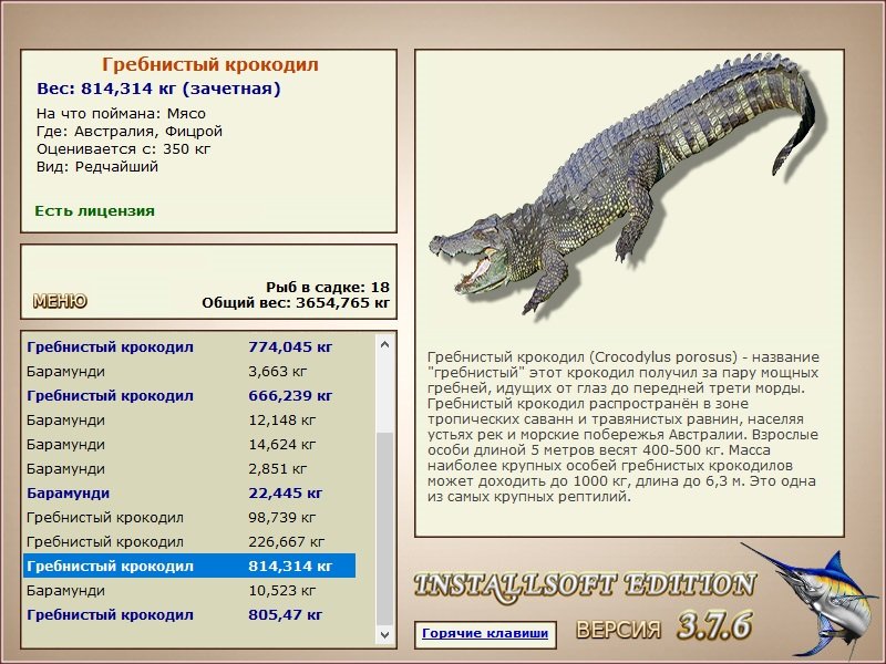Фицрой 