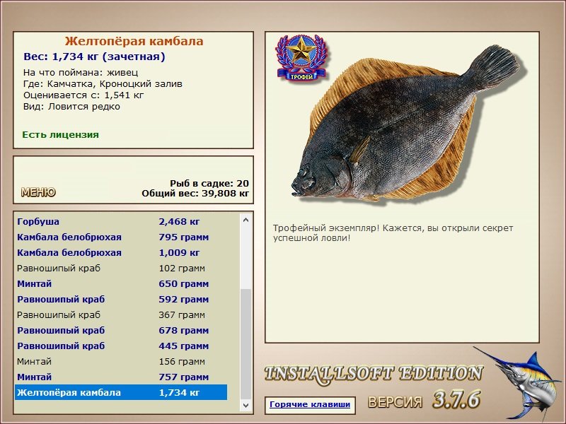 Кроноцкий залив 
