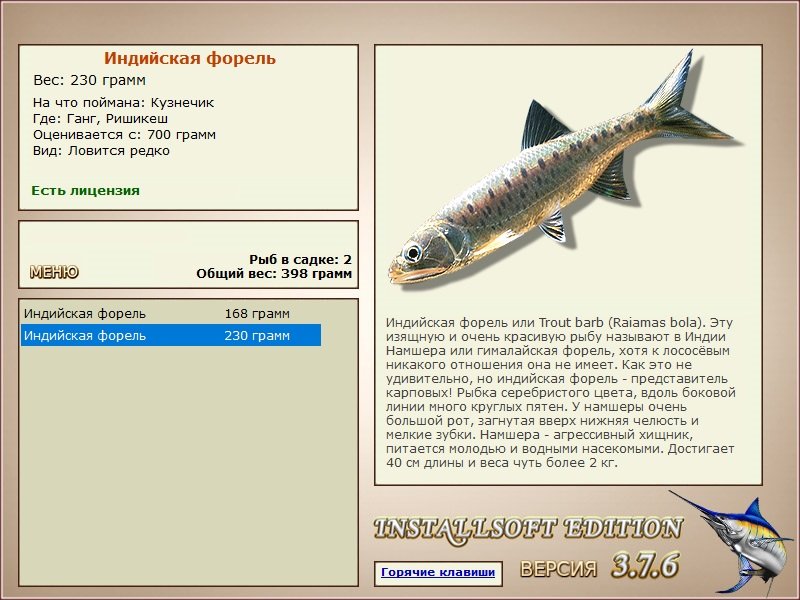 Ришикеш 