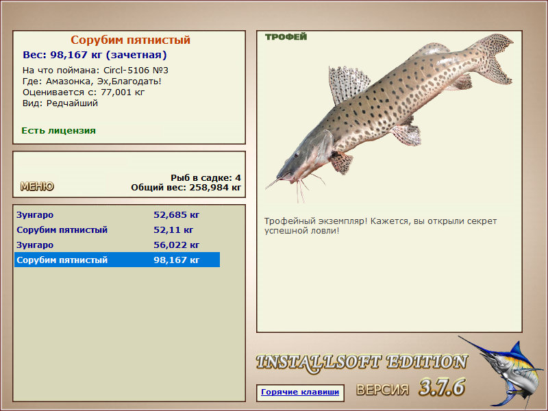 Сорубим пятнистый 