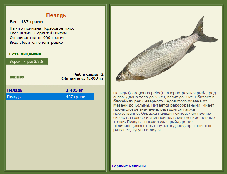 РУССКАЯ РЫБАЛКА Installsoft Edition 