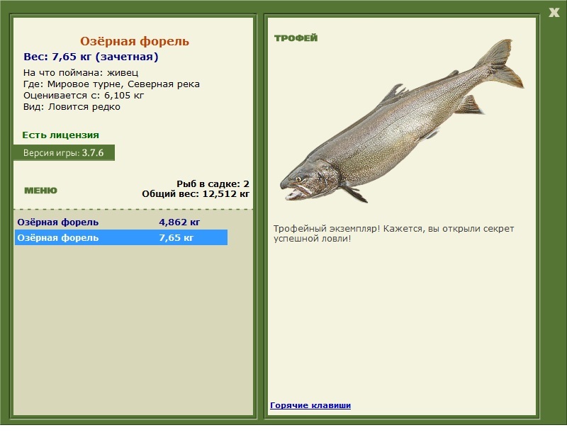 Озёрная форель 
