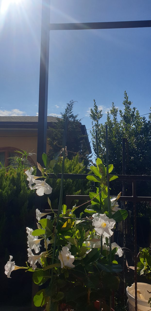  Погода в вашем городе