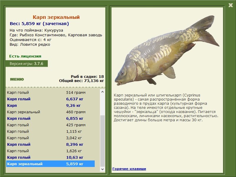 турниры • РУССКАЯ РЫБАЛКА