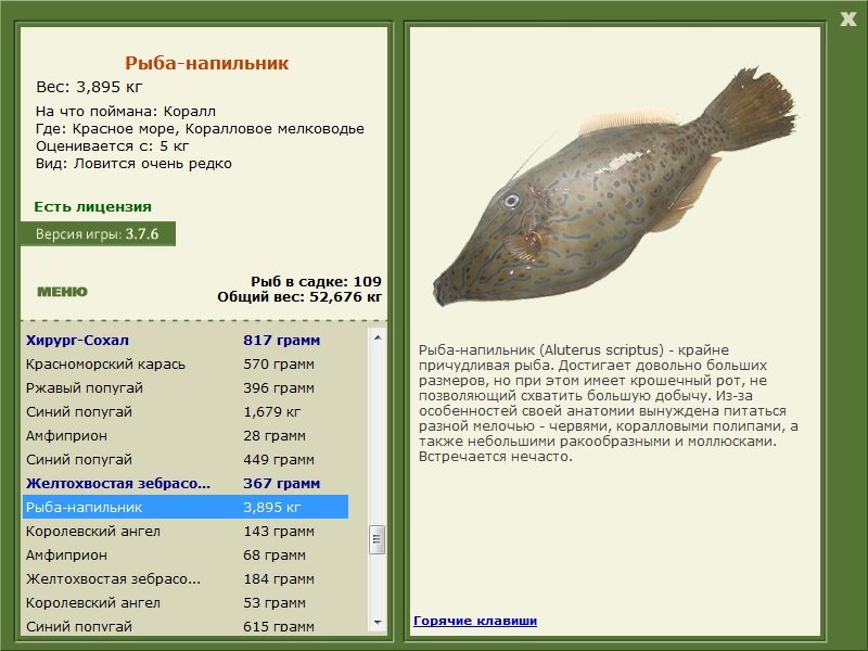 турниры • РУССКАЯ РЫБАЛКА