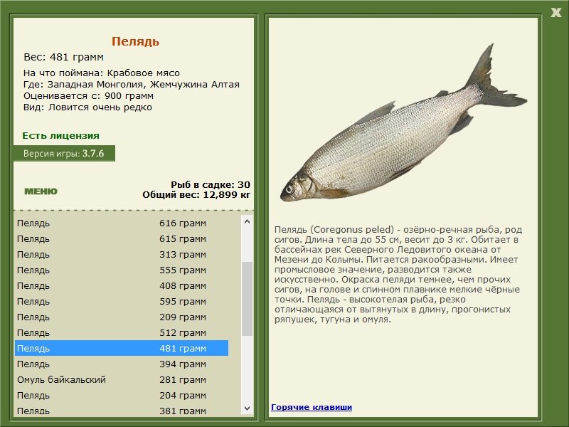РУССКАЯ РЫБАЛКА Installsoft Edition 
