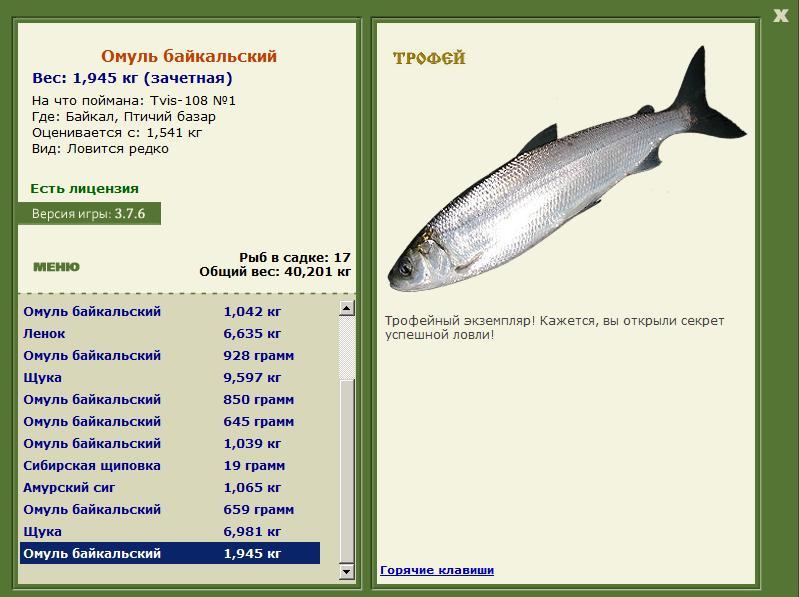 Омуль Байкальский 