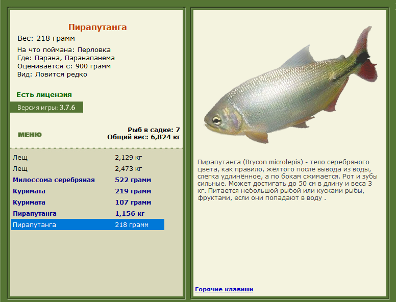 РУССКАЯ РЫБАЛКА Installsoft Edition 