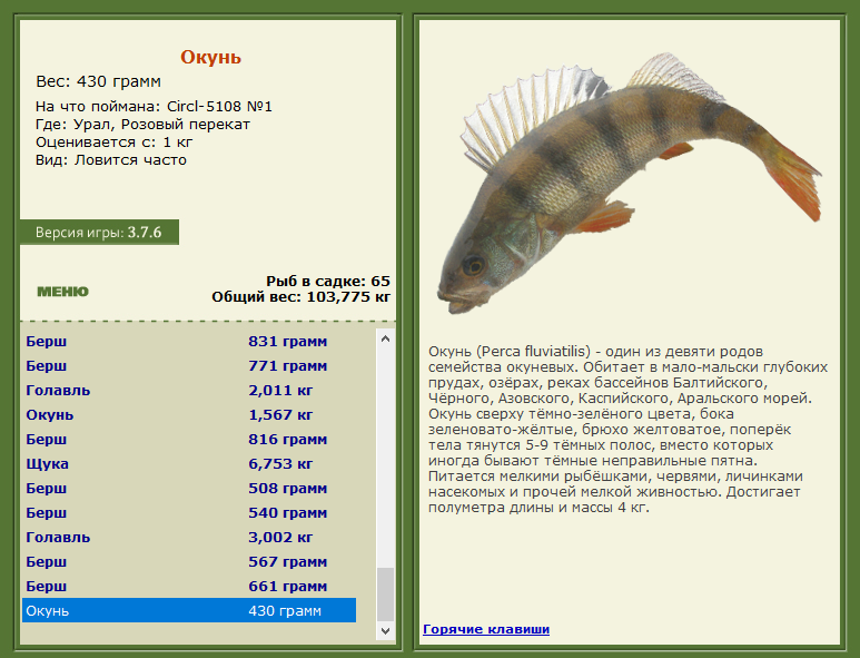 РУССКАЯ РЫБАЛКА Installsoft Edition 