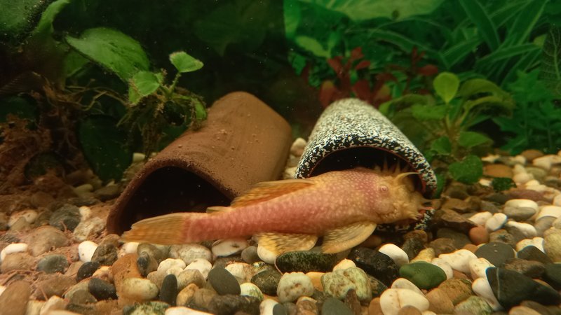  Редактировать сообщение