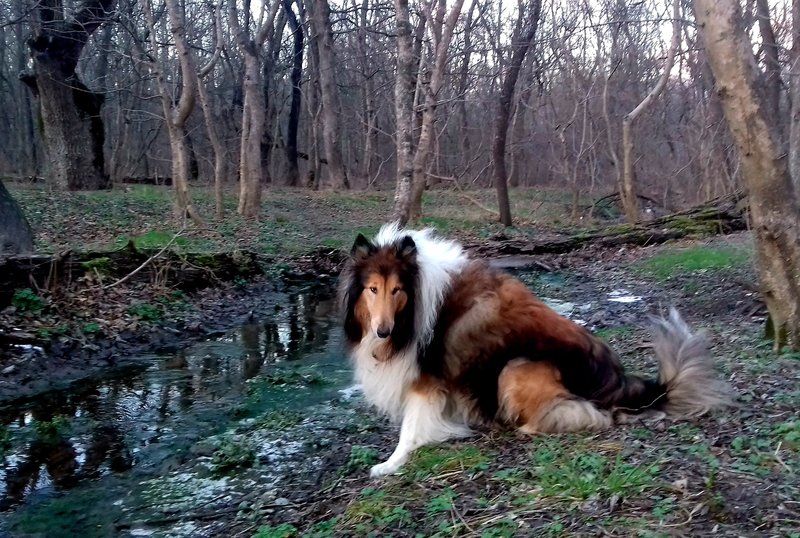  Джем и компания