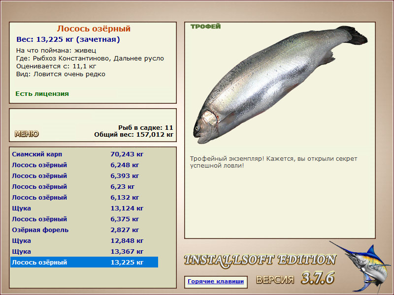 Лосось озёрный 