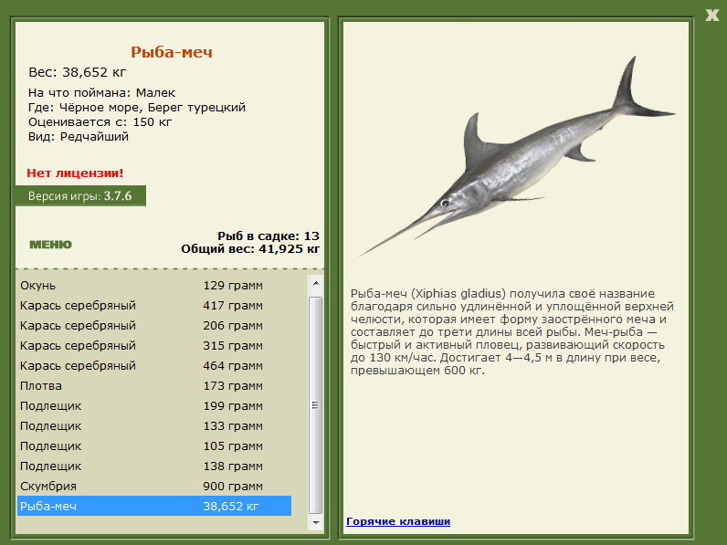 Берег турецкий 