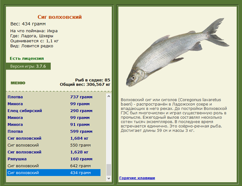РУССКАЯ РЫБАЛКА Installsoft Edition 