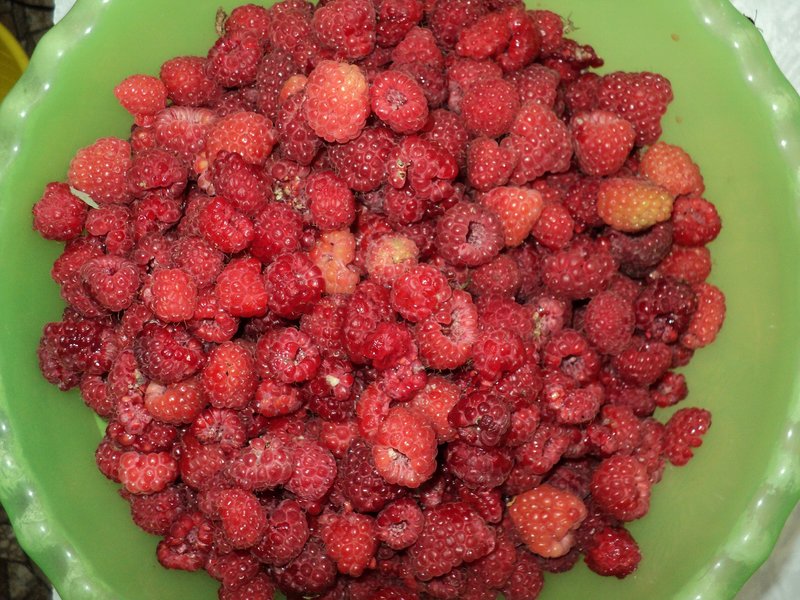  Про помидоры .