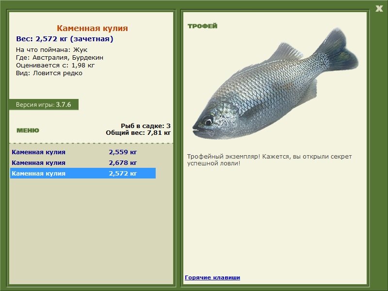 Каменная кулия 