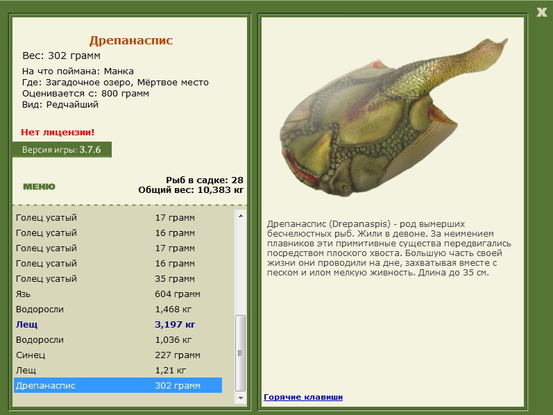 Мёртвое место 